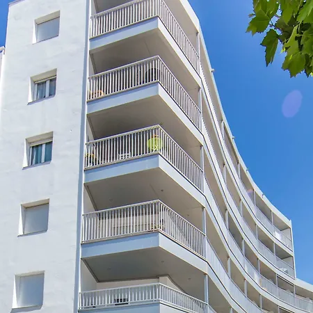 Palmeras 2.10 * Ρόζες
