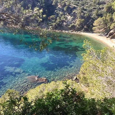 Palmeras 2.10 Διαμέρισμα *